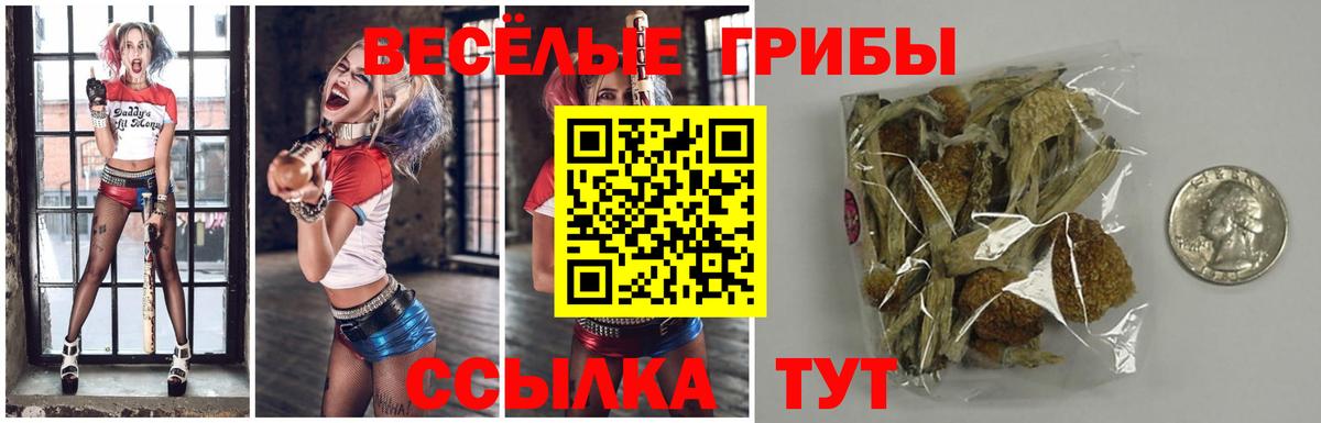 Псилоцибиновые грибы прущие грибы Славянск-на-Кубани